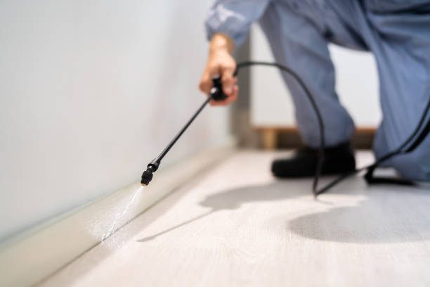 Licensed Pest Control service in Cloverdale, CA - Show Me Pest Control